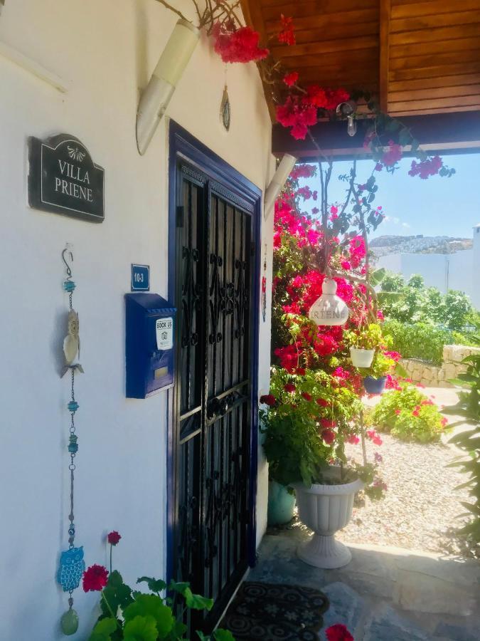 Villa Priene - Gumusluk Private Pool Exterior foto