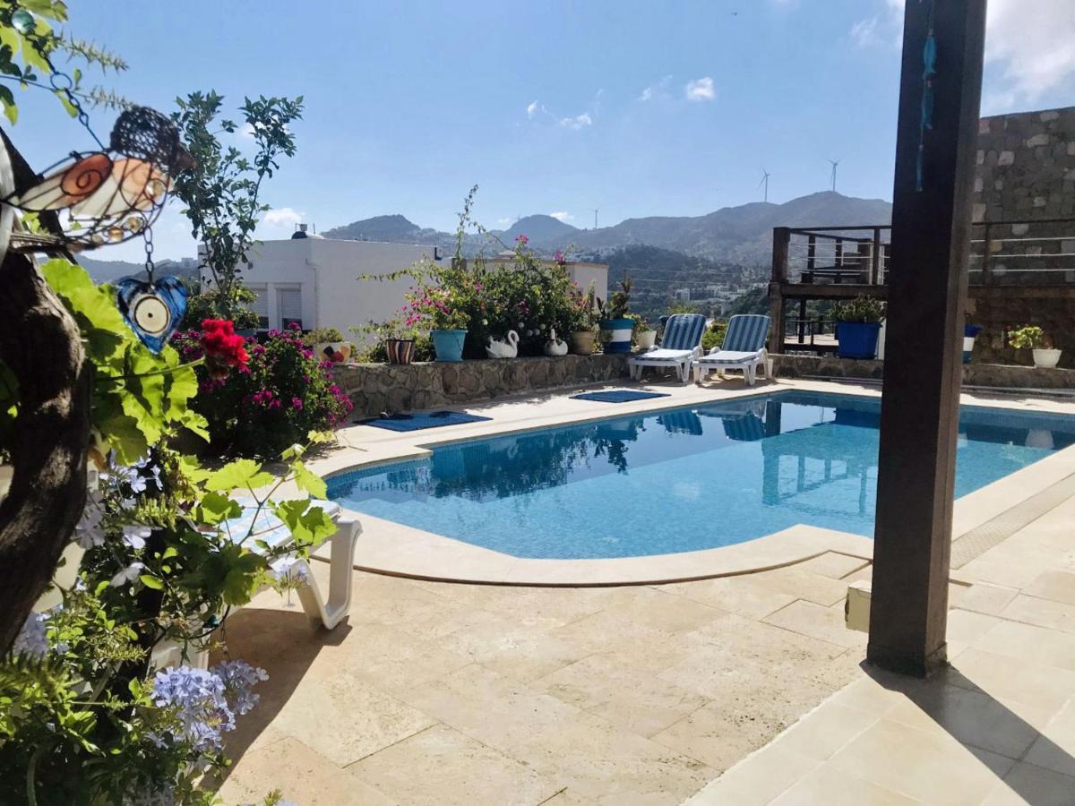 Villa Priene - Gumusluk Private Pool Exterior foto