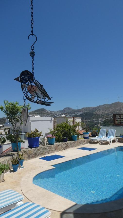 Villa Priene - Gumusluk Private Pool Exterior foto