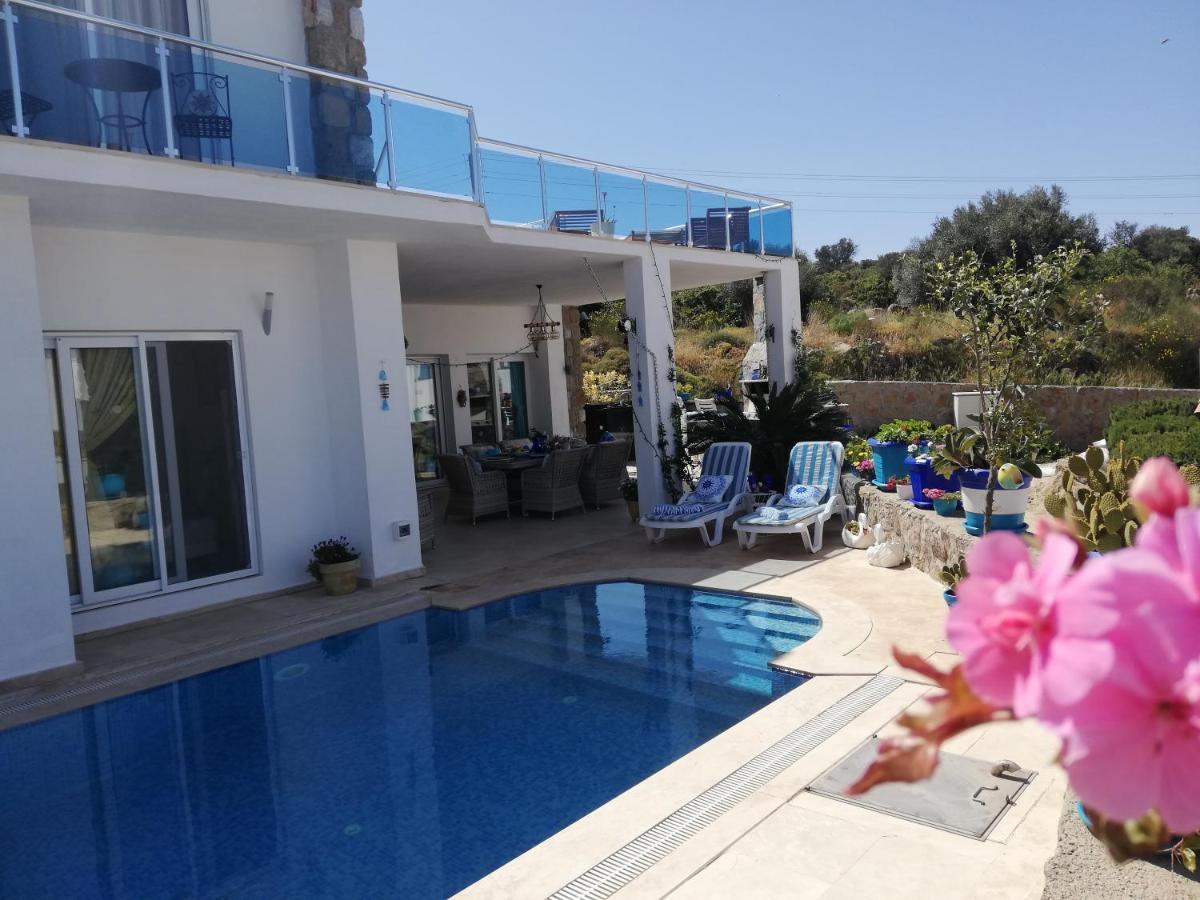 Villa Priene - Gumusluk Private Pool Exterior foto